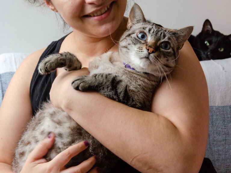 The Joys and Benefits of Owning Pets